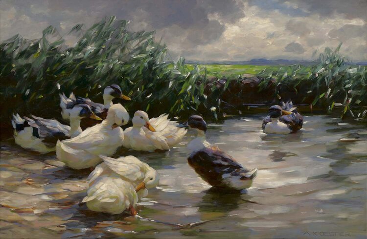 Alexander Max Koester. Ducks in Green Water, ca. 1910–13. 